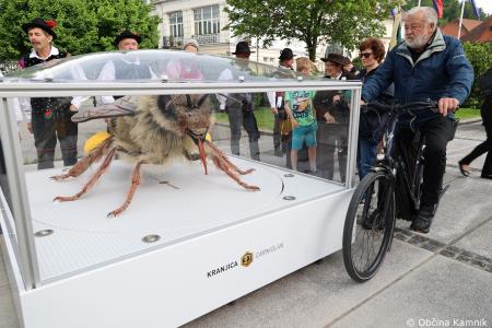 Čebela velikanka potuje po Kamniku (15)